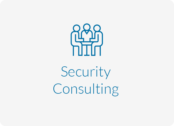 Security Consulting
