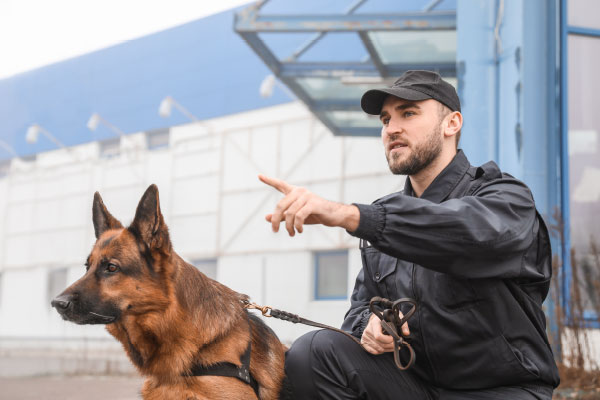Security Canine Work