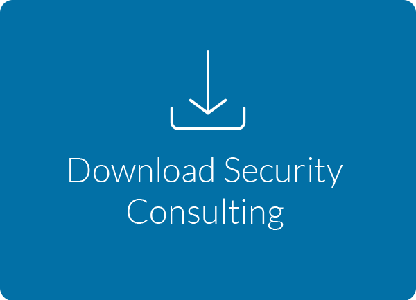 Security Consulting